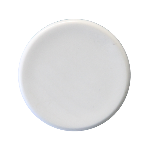 2" Spigot Manifold Plug